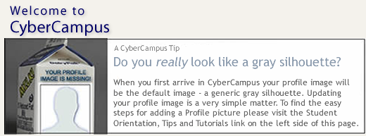 Logo and Profile photo 